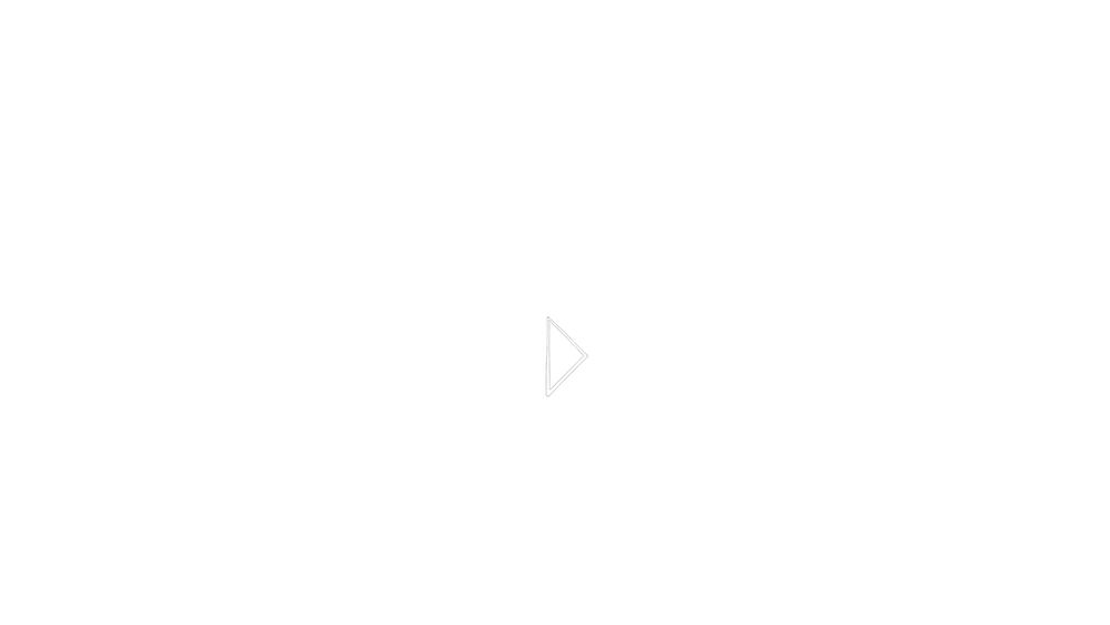 Steadicam Air - Something New